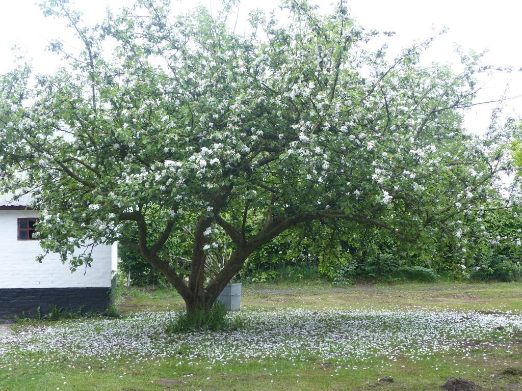 Kristiansminde Farm Holiday Tistrup Zewnętrze zdjęcie