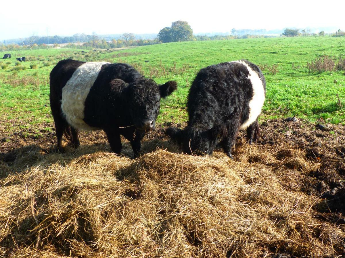 Kristiansminde Farm Holiday Tistrup Zewnętrze zdjęcie